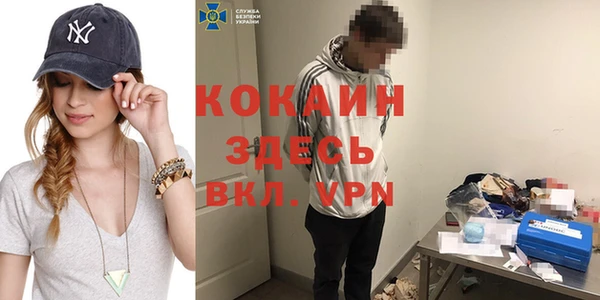 apvp Алзамай