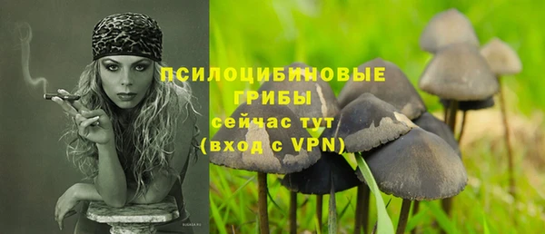 молекула духа Алексеевка
