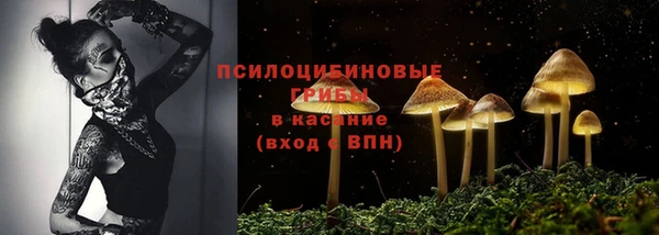apvp Алзамай