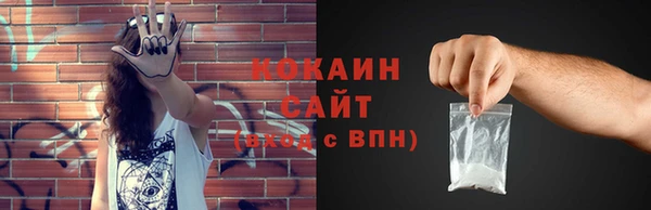 ешки Алексин