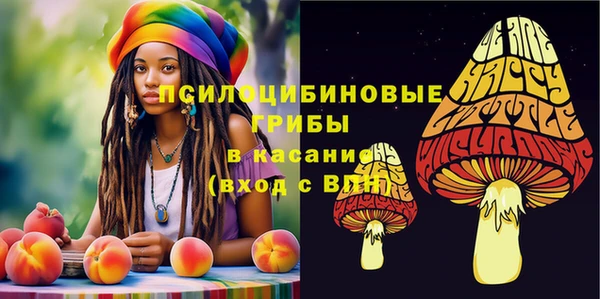 молекула духа Алексеевка