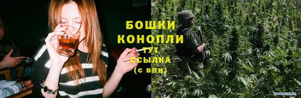 ешки Алексин