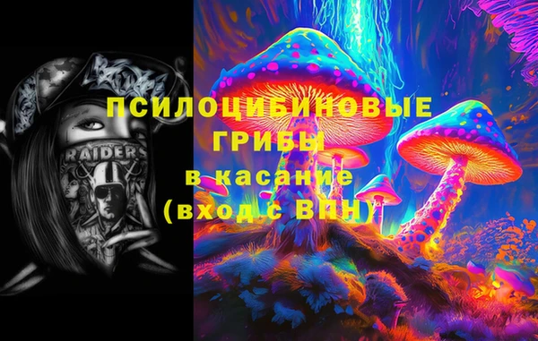 молекула духа Алексеевка