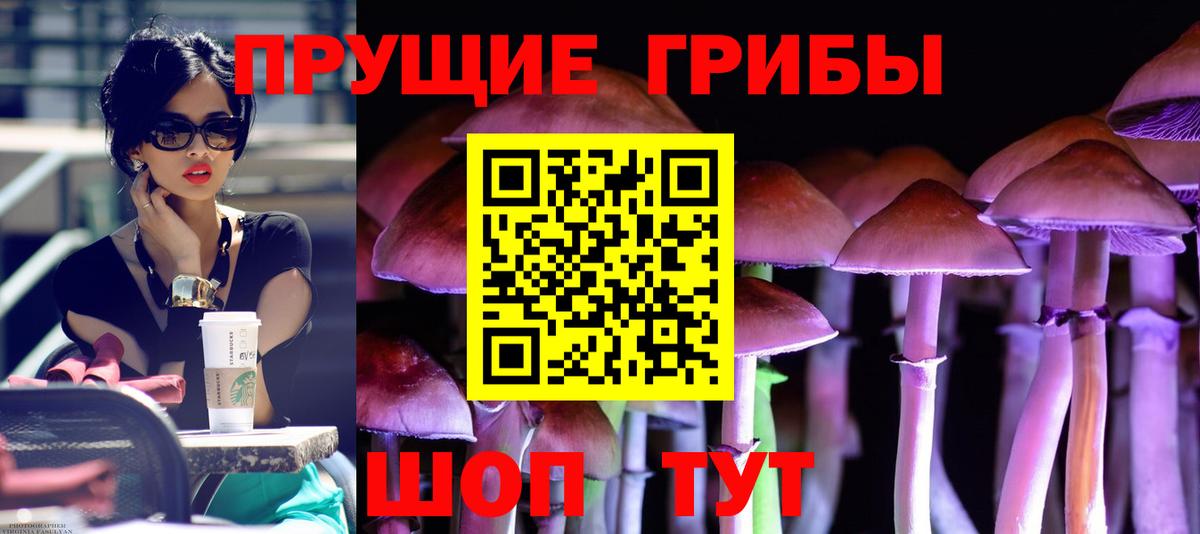 Киреевск  Галлюциногенные грибы Psilocybine cubensis  Вход с VPN  Псилоцибиновые грибы Magic Shrooms 